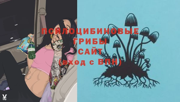 экстази Бородино