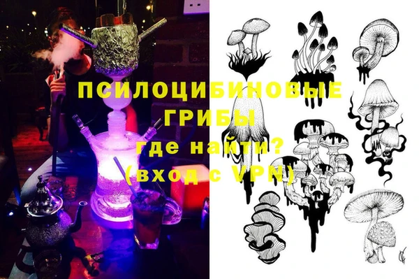 сатива Аркадак