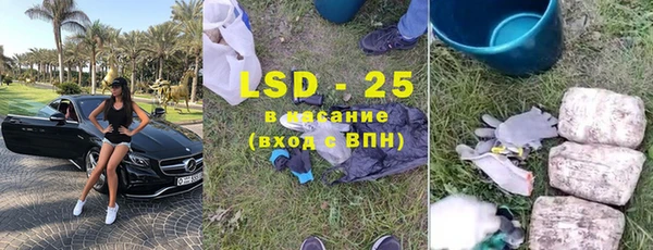 сатива Аркадак
