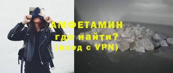 сатива Аркадак