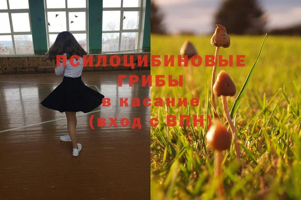 твердый Балабаново