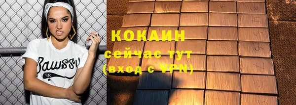 сатива Аркадак