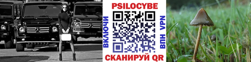 Псилоцибиновые грибы GOLDEN TEACHER Печоры